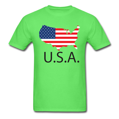 USA Unisex Classic T-Shirt - kiwi
